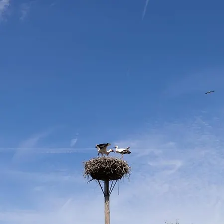 Cube 16 I Stijlvol En Licht 4 Persoons Zennewijnen